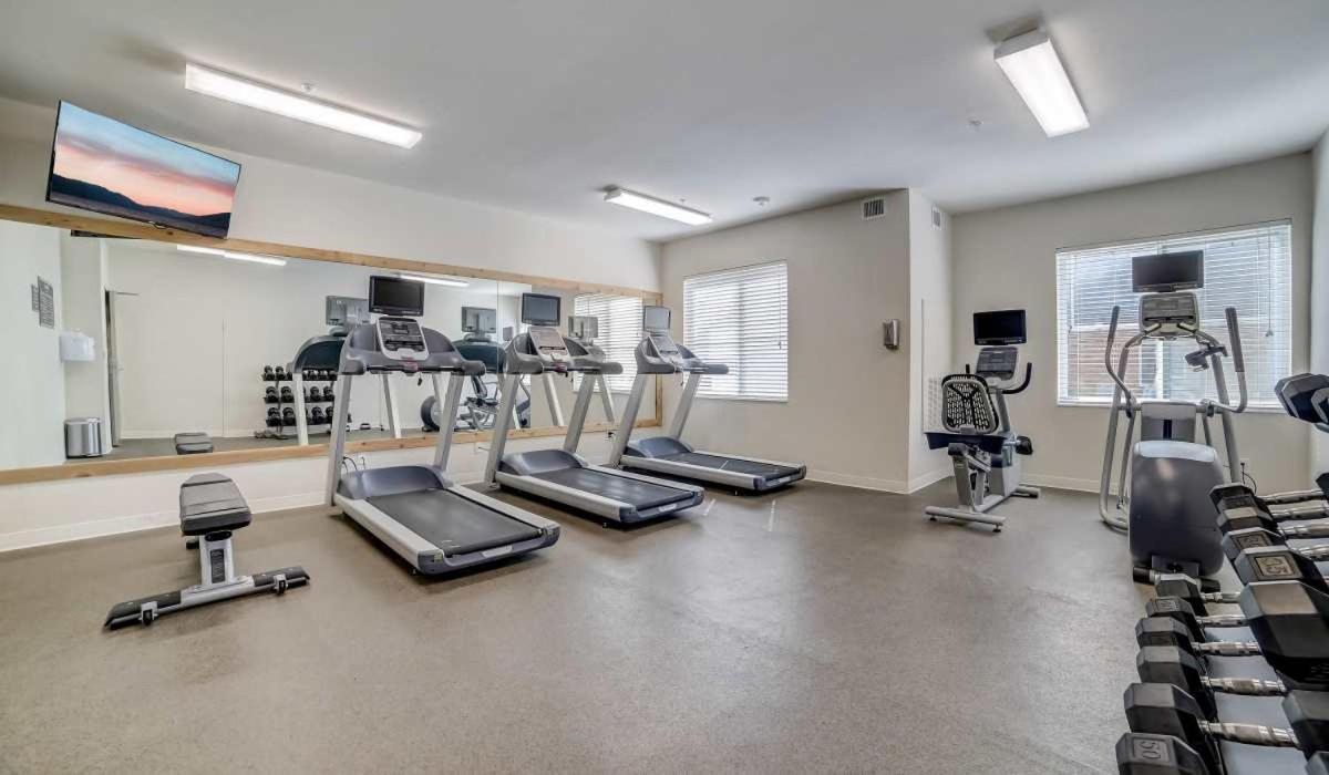 Simplicity At The Rim 1415 I Spacious 1 Bed 1 Bth Apartment San Antonio